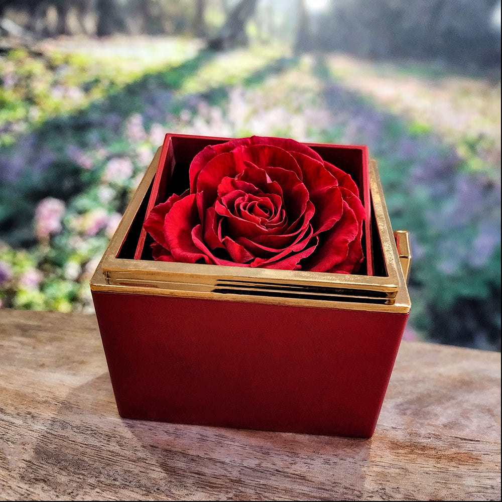 New ShineOn Rotating Rose box with Love Knot