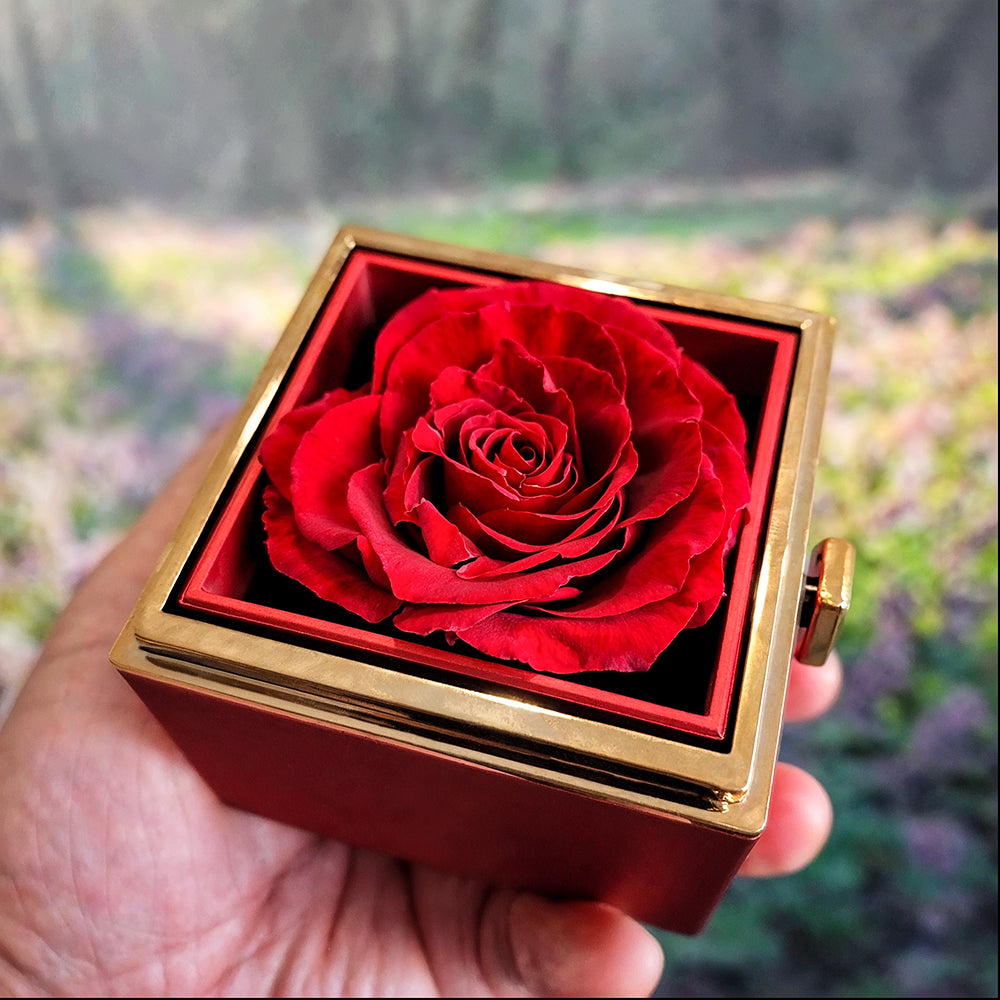 New ShineOn Rotating Rose box with Love Knot